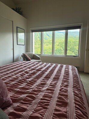 1 soverom, wi-fi og sengetøy