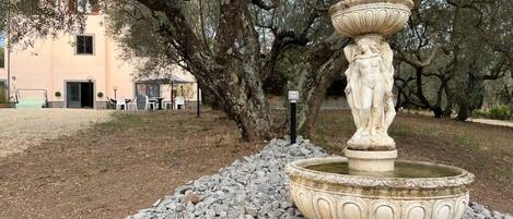 Overnattingsstedets uteområder