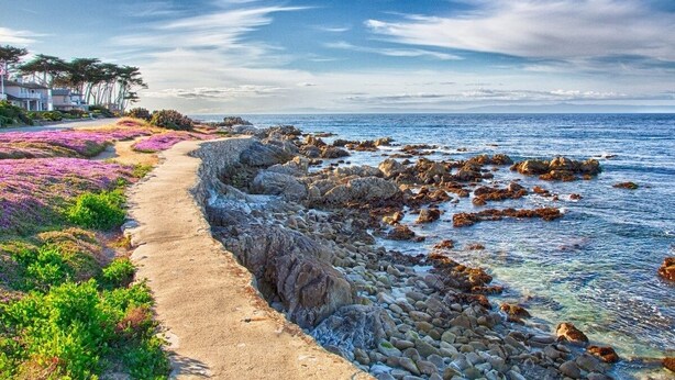 A coastal walkway with a rocky shoreline, clear water, and purple flowers.