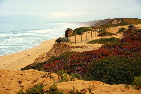 Playa