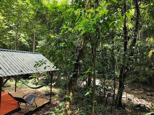 Cool Waters Jungle Camping - Uvita