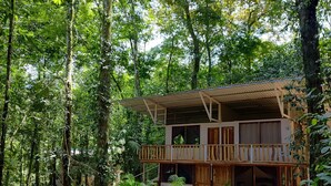 A wooden cabin with a balcony, surrounded by dense forest. - Cool Waters Jungle Camping (Bahía Ballena)
