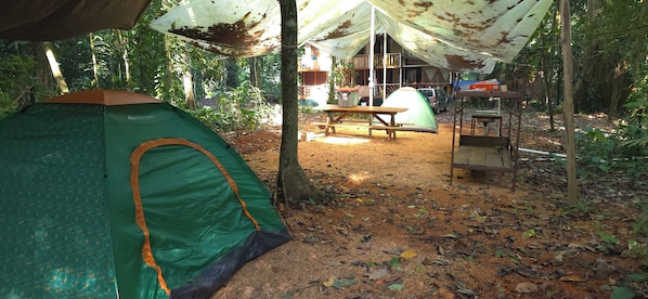 1 chambre, Wi-Fi gratuit