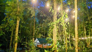 A rustic wooden house surrounded by dense forest, with string lights illuminating the area. - Cool Waters Jungle Camping (Bahía Ballena)