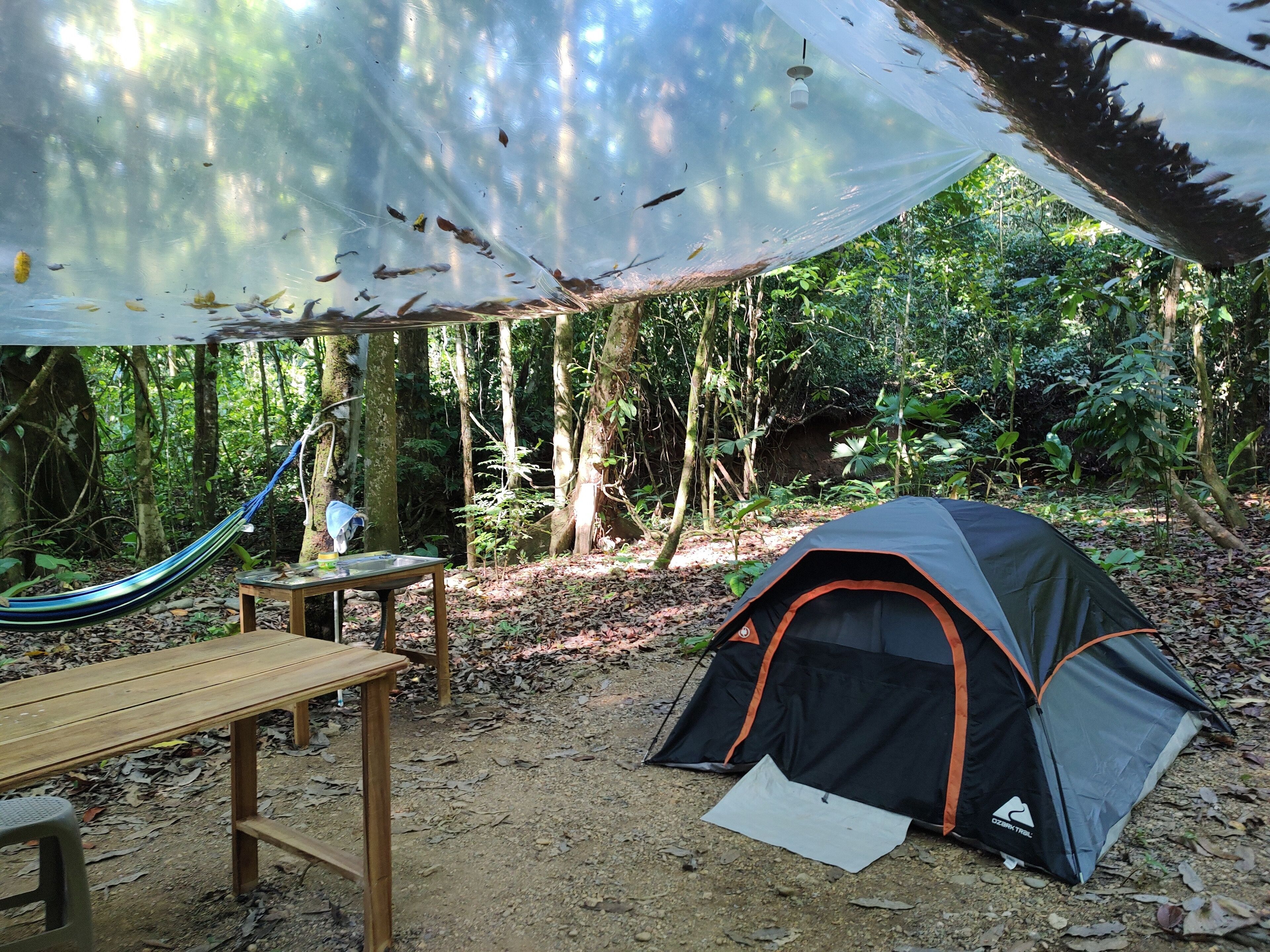 Una carpa montada en un bosque, con una hamaca y una mesa cerca.