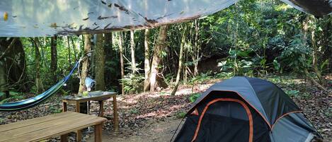 Una carpa montada en un bosque, con una hamaca y una mesa cerca.