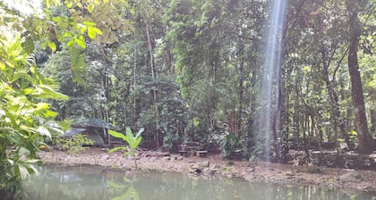 Cool Waters Jungle Camping