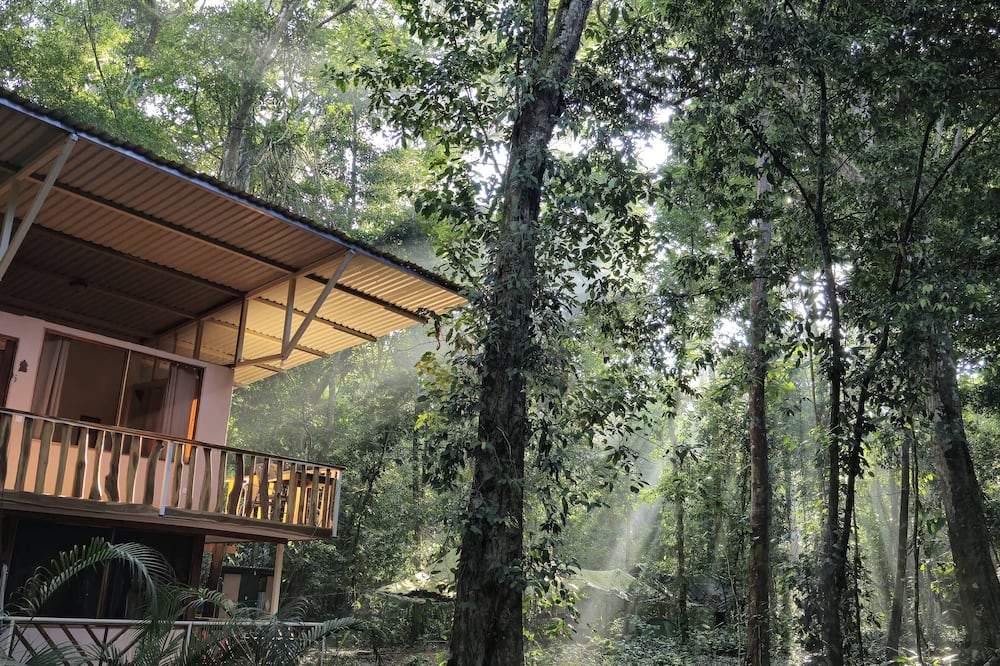 Cool Waters Jungle Camping