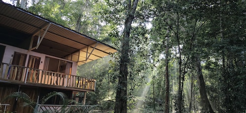 Cool Waters Jungle Camping