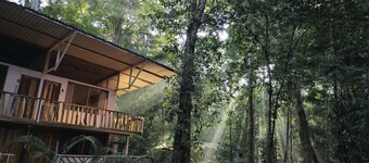 Cool Waters Jungle Camping