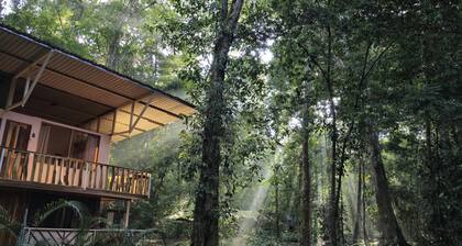 Cool Waters Jungle Camping