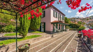 A cobblestone street leading to a pink building with green shutters, surrounded by lush greenery and red flowers. - FLH Funchal Casa do Carvalhal (Funchal)