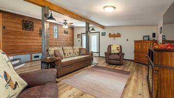 Smart TV, fireplace, books