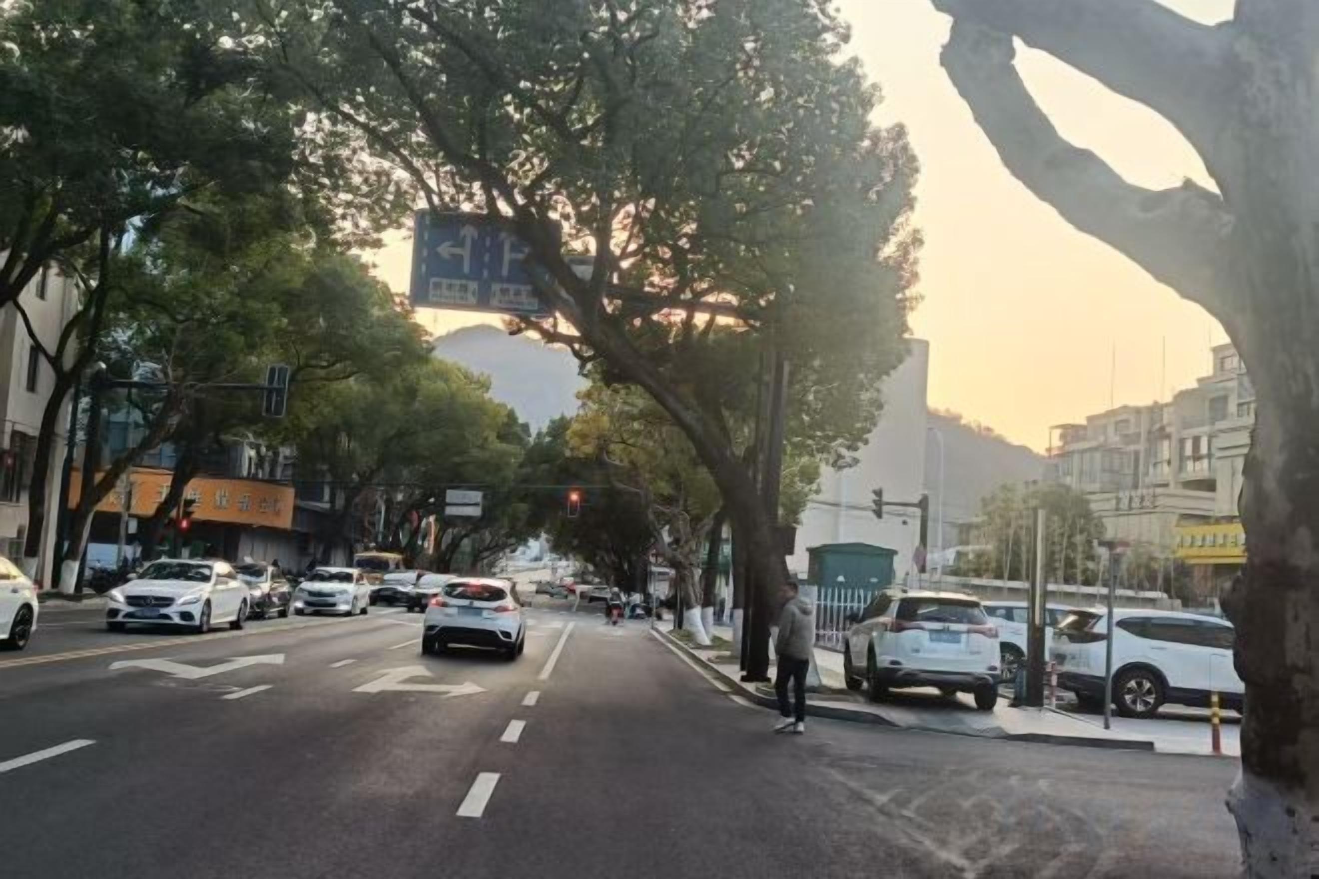 A city street with parked cars, trees, and buildings.