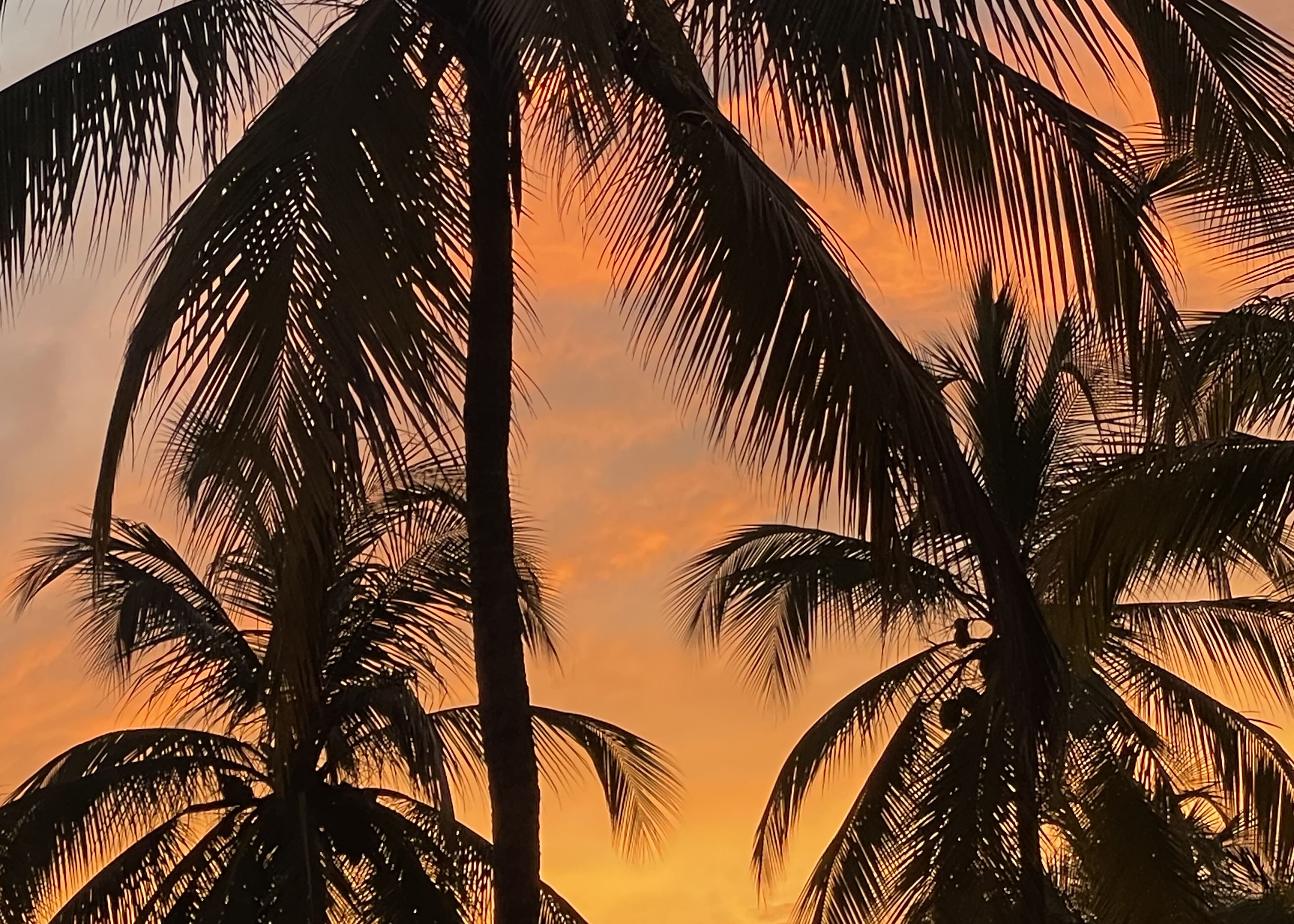 Foto - MuchoSur Santa Marta