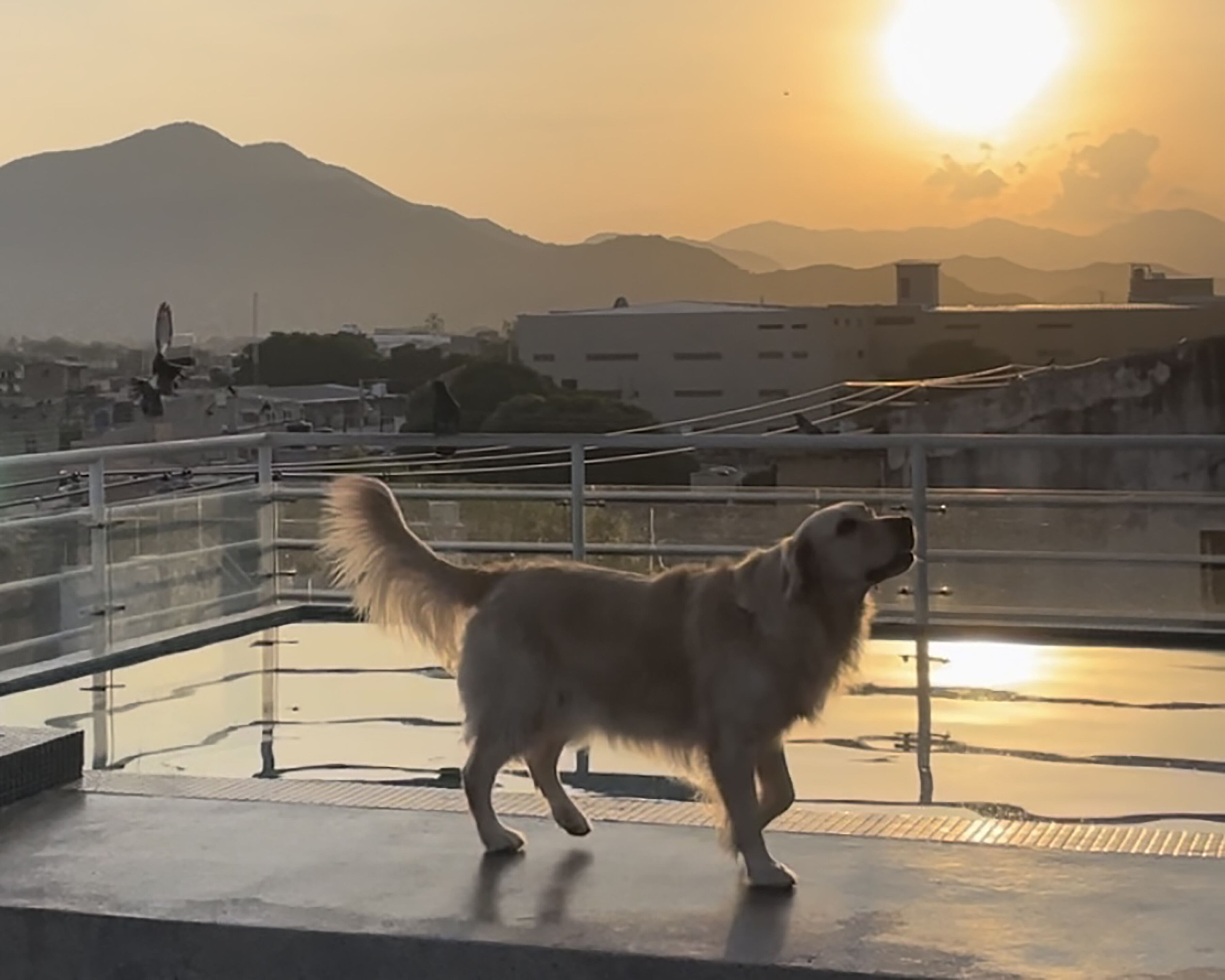 Foto - MuchoSur Santa Marta