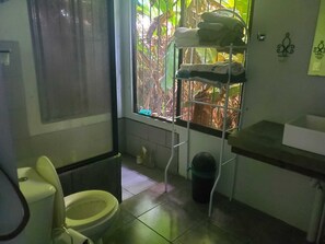Toallas y papel de baño 