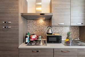 Apartment | Private kitchen | Fridge, microwave, oven, stovetop