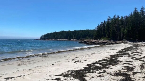 Una playa con agua azul cristalina, orilla de arena y un área boscosa al fondo.