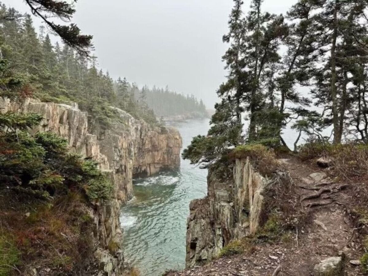 A coastal cliff with a narrow path leading to a body of water, surrounded by dense forest.