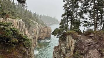 A coastal cliff with a narrow path leading to a body of water, surrounded by dense forest.