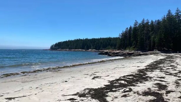 Strand