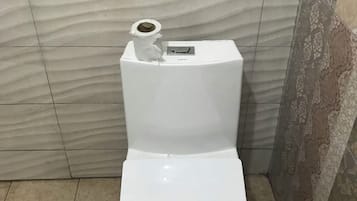 Shower, soap, toilet paper