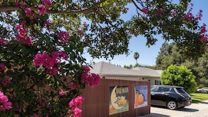 A wooden fence with a house in the background, a parked car, and a tree with pink flowers.