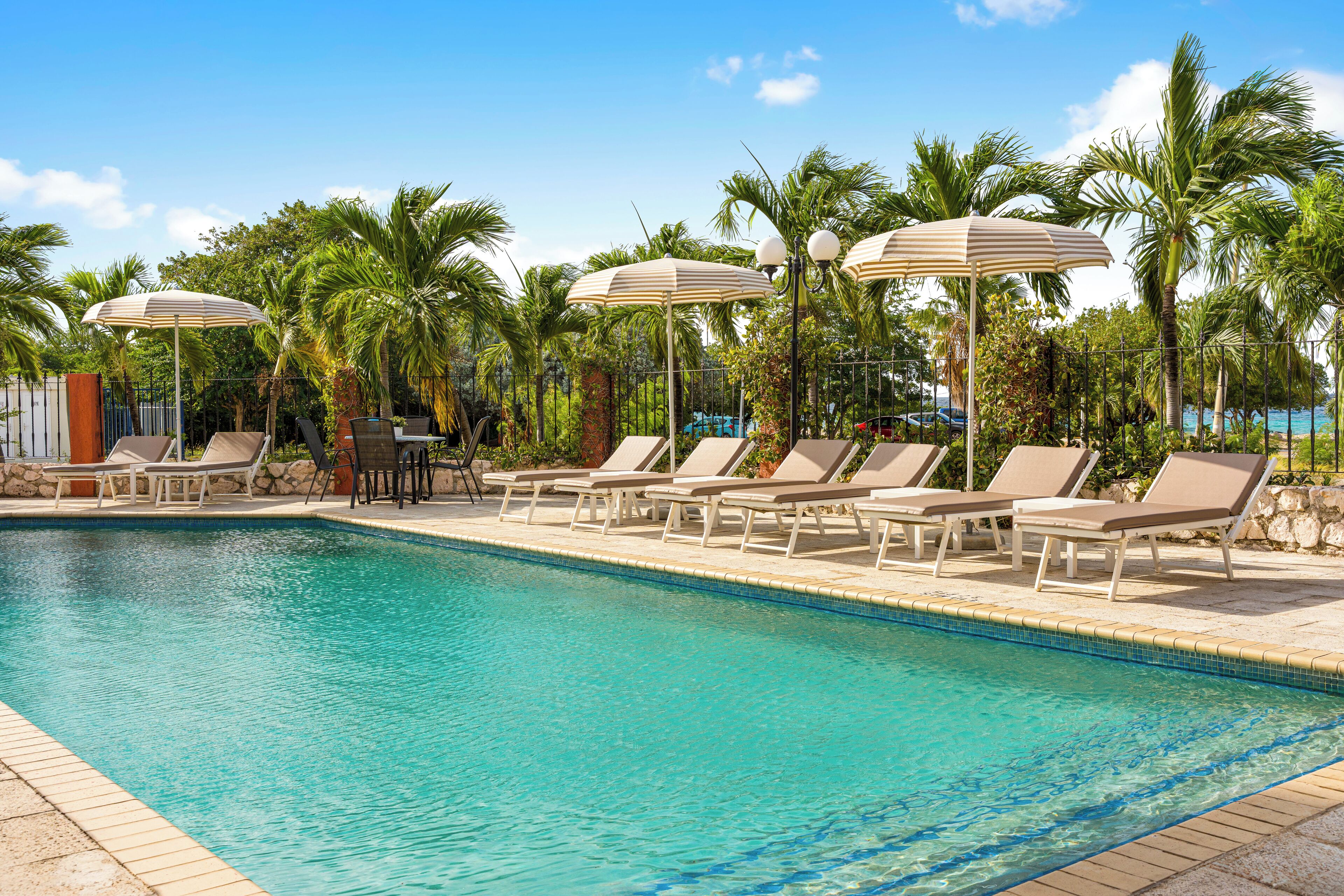 A swimming pool with lounge chairs and umbrellas, surrounded by palm trees.
