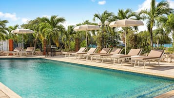 Una piscina con sillas de descanso y sombrillas, rodeada de palmeras.