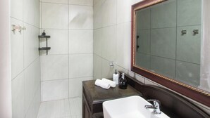 A bathroom with a large mirror, a sink, and a shower area. - Lake Villa Room 15 (Swartberg)