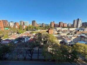 Vista desde la habitación