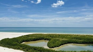 Un paysage côtier avec une plage, une végétation luxuriante et un ciel dégagé.