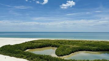 على الشاطئ، كراسي للتشمس، مناشف للشاطئ