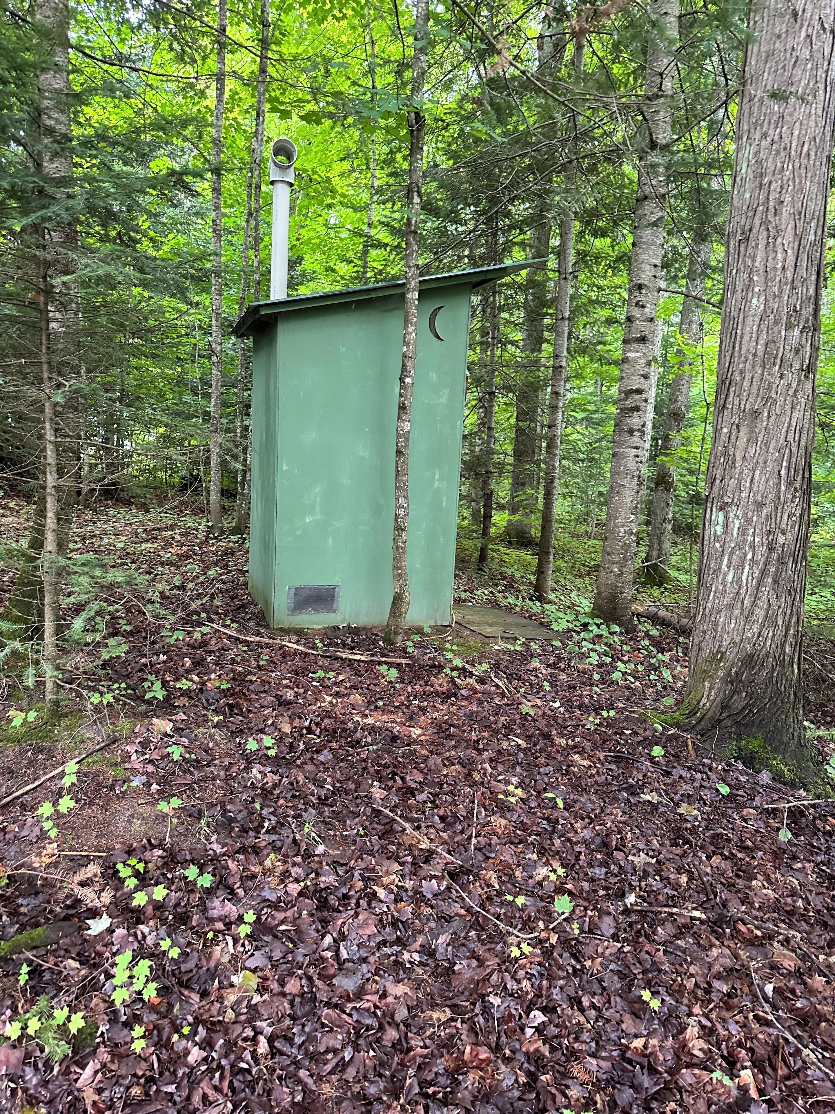 Un cobertizo utilitario verde en un área boscosa, con hojas secas cubriendo el suelo.