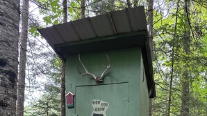 Un capanno di servizio verde con un adesivo a forma d'orso e corna sulla porta, immerso tra alberi e terreno forestale.