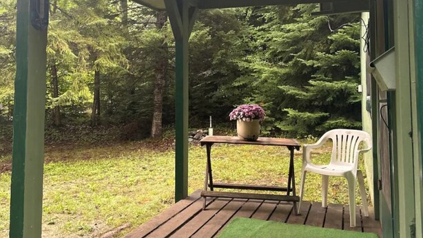 Un’area esterna coperta con un pavimento in legno, prato artificiale verde, una sedia in plastica bianca e un tavolo con una pianta in vaso.