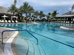 En swimmingpool med kristallklart blått vatten, omgiven av solstolar och palmer.