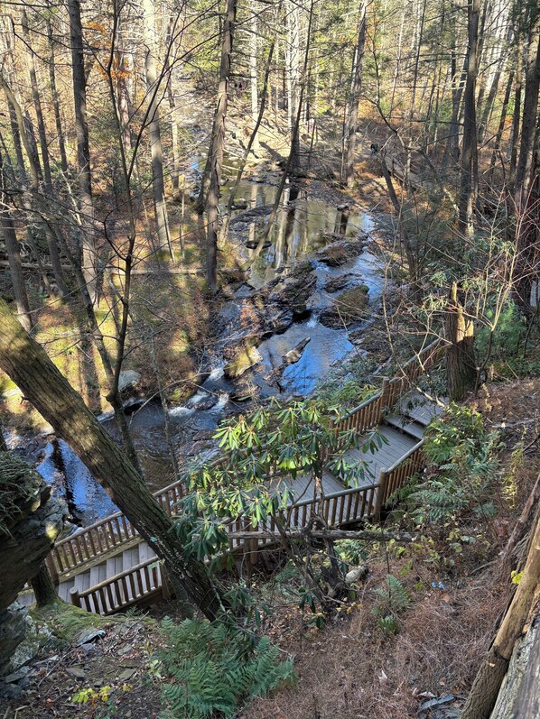 Property grounds - Enjoy Pocono Mountain attractions year round or experience perfect relaxation! (Albrightsville)