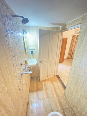 A bathroom with a shower, a sink, and a door leading to another room.