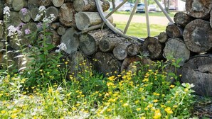 A rustic stone wall with a wheel wheelhole, surrounded by wildflowers and greenery.