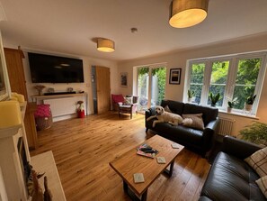 Smart TV, fireplace, books