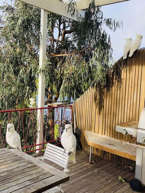 Terrace/patio - Ocean View Skenes Creek Beach House (Skenes Creek)