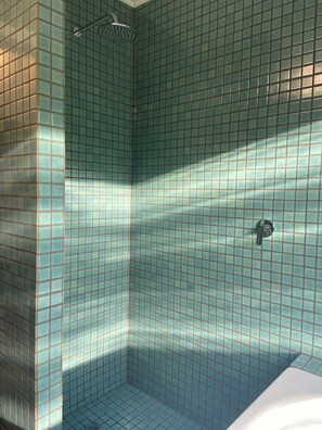 Shower, hair dryer