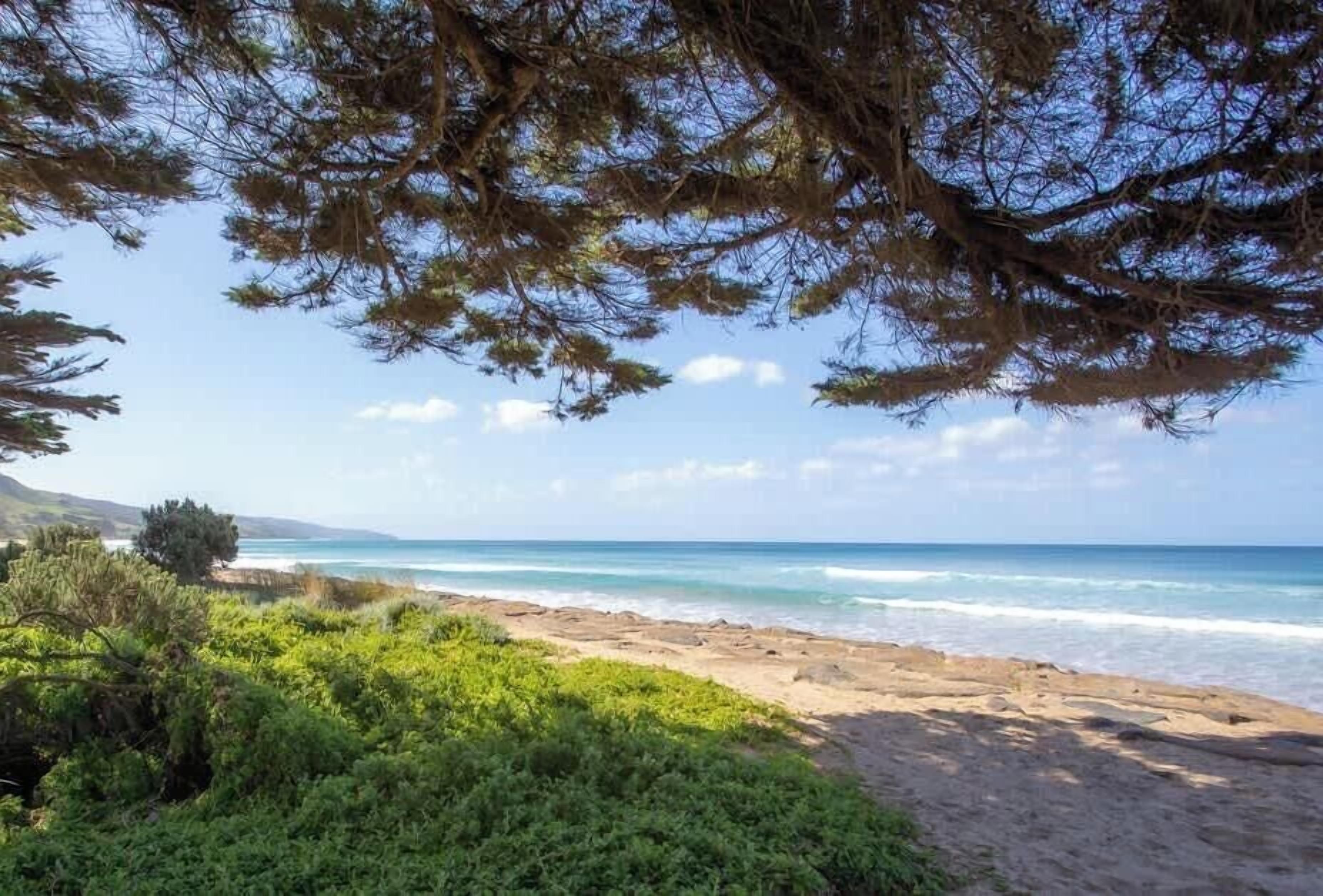 A beach with clear blue water, sandy shore, and green vegetation.