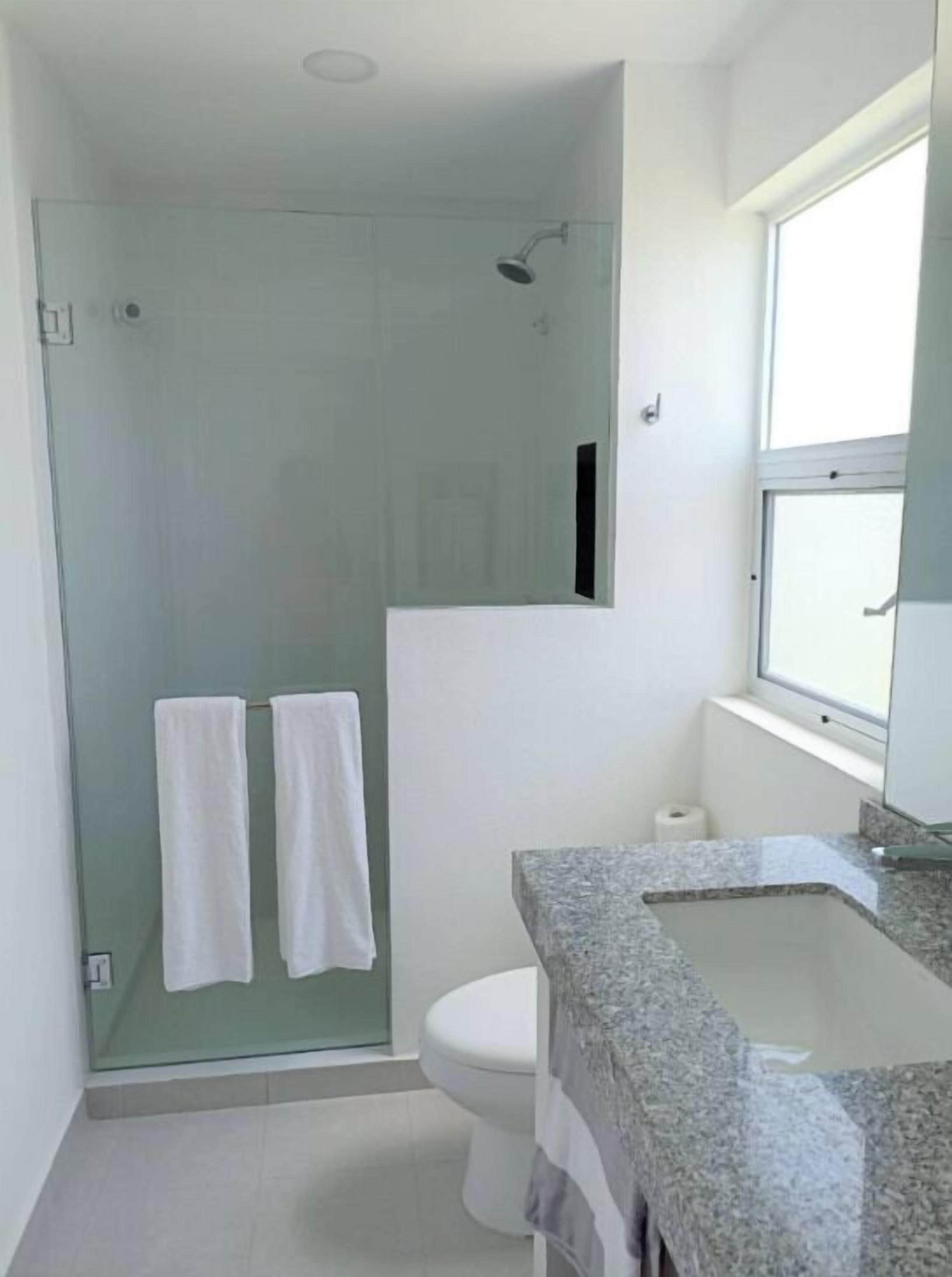 A modern bathroom with a glass-enclosed shower, a toilet, and a granite sink.