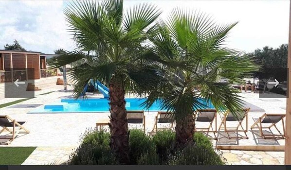 Relax by the pool surrounded by palm trees and lounge chairs.