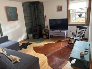 Smart TV, fireplace, books, printers