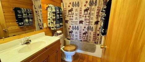 Ducha, secador de pelo, toallas y jabón