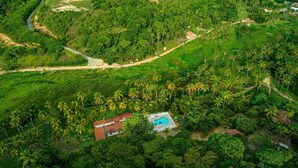 Ein Luftbild eines Anwesens mit Swimmingpool, umgeben von üppiger Vegetation und Palmen.